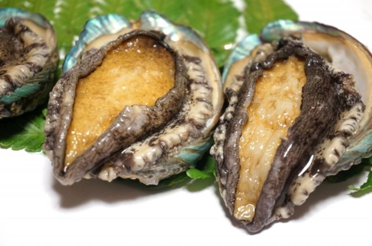 神戸牛ステーキ&鮑コース ＜全9品＞