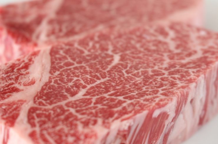 神戸牛フィレステーキコース 120g＜全8品＞